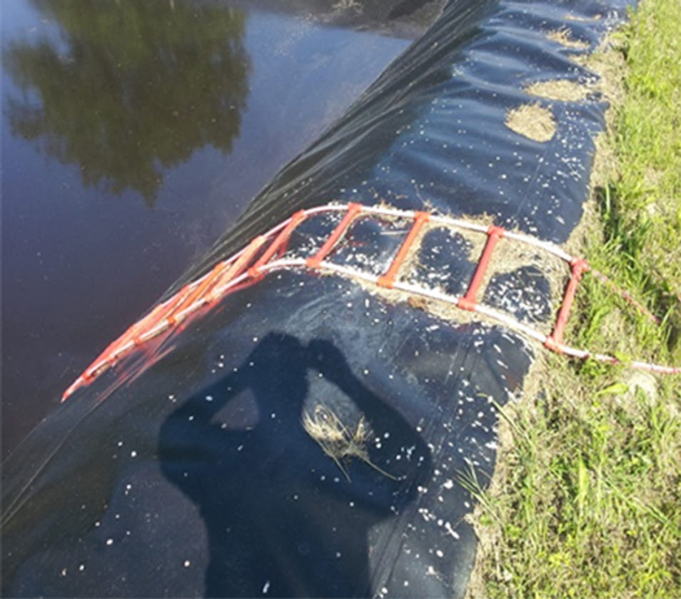 Gödselbrunn med repstege som gör det lätt att klättra upp