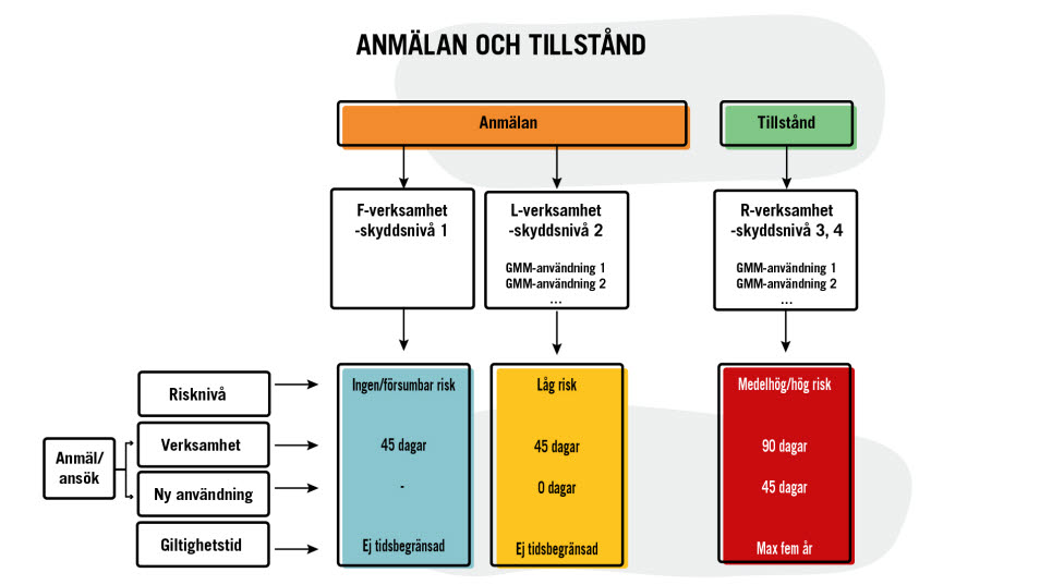 Schematisk bild på anmälan och tillstånd av GMM