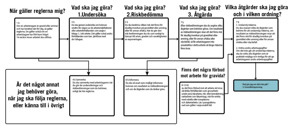 I steg för steg beskrivs under olika rubriker vad du ska göra. Klicka på bilden för att förstora texten.